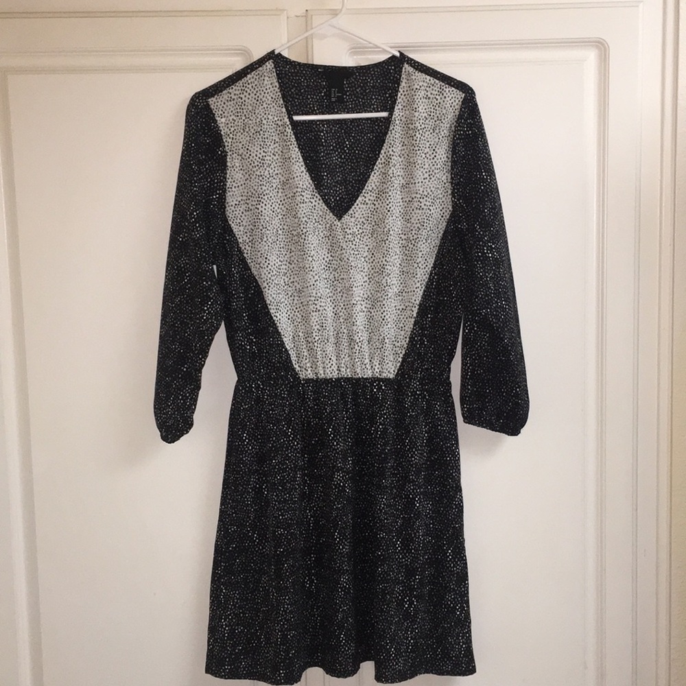H&M Long Sleeve Skater Dress